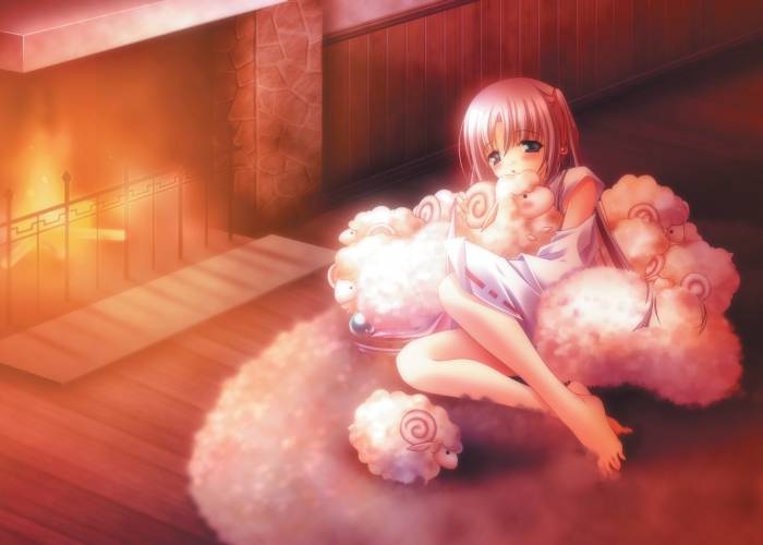 Fay Sheeps.jpg